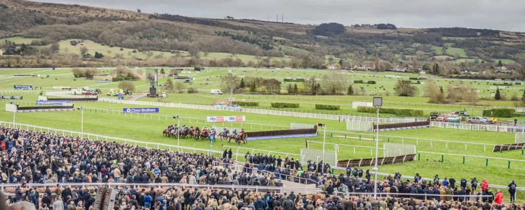 Cheltenham Festival in action